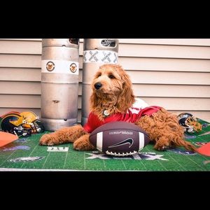 Meet your Posher, Patrick